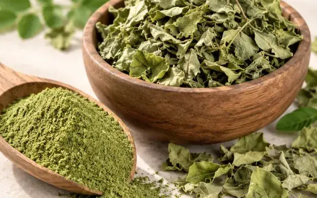 Dried moringa leaves and powder