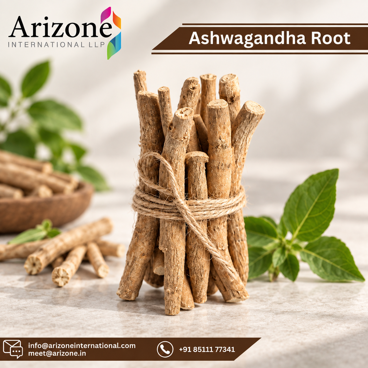 Ashwagandha photo 2
