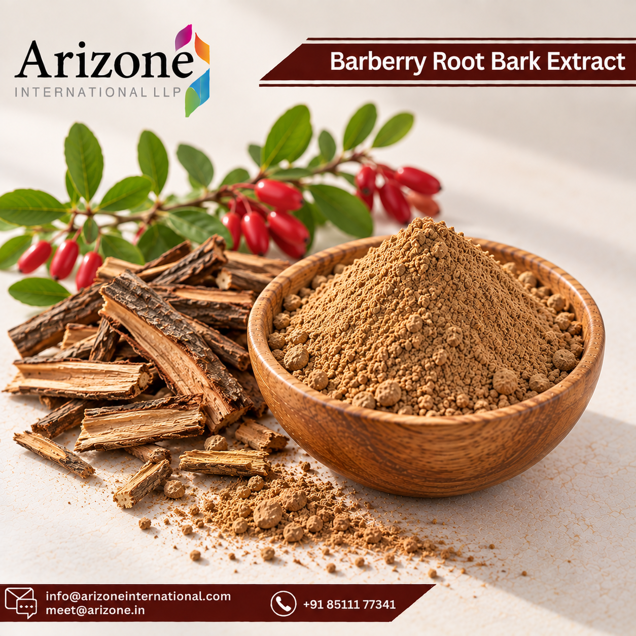 Barberry Root Bark Extract