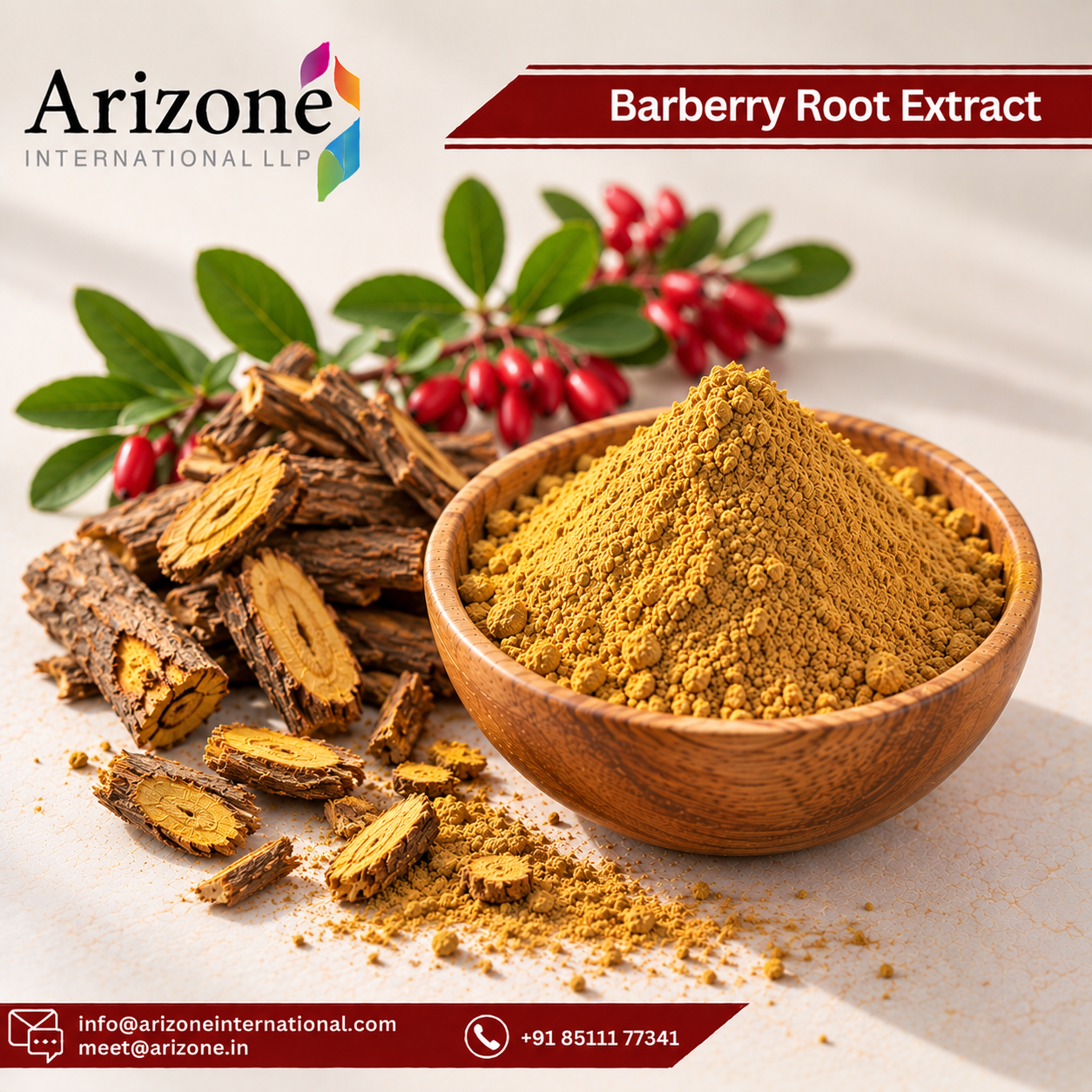 Barberry Root Extract