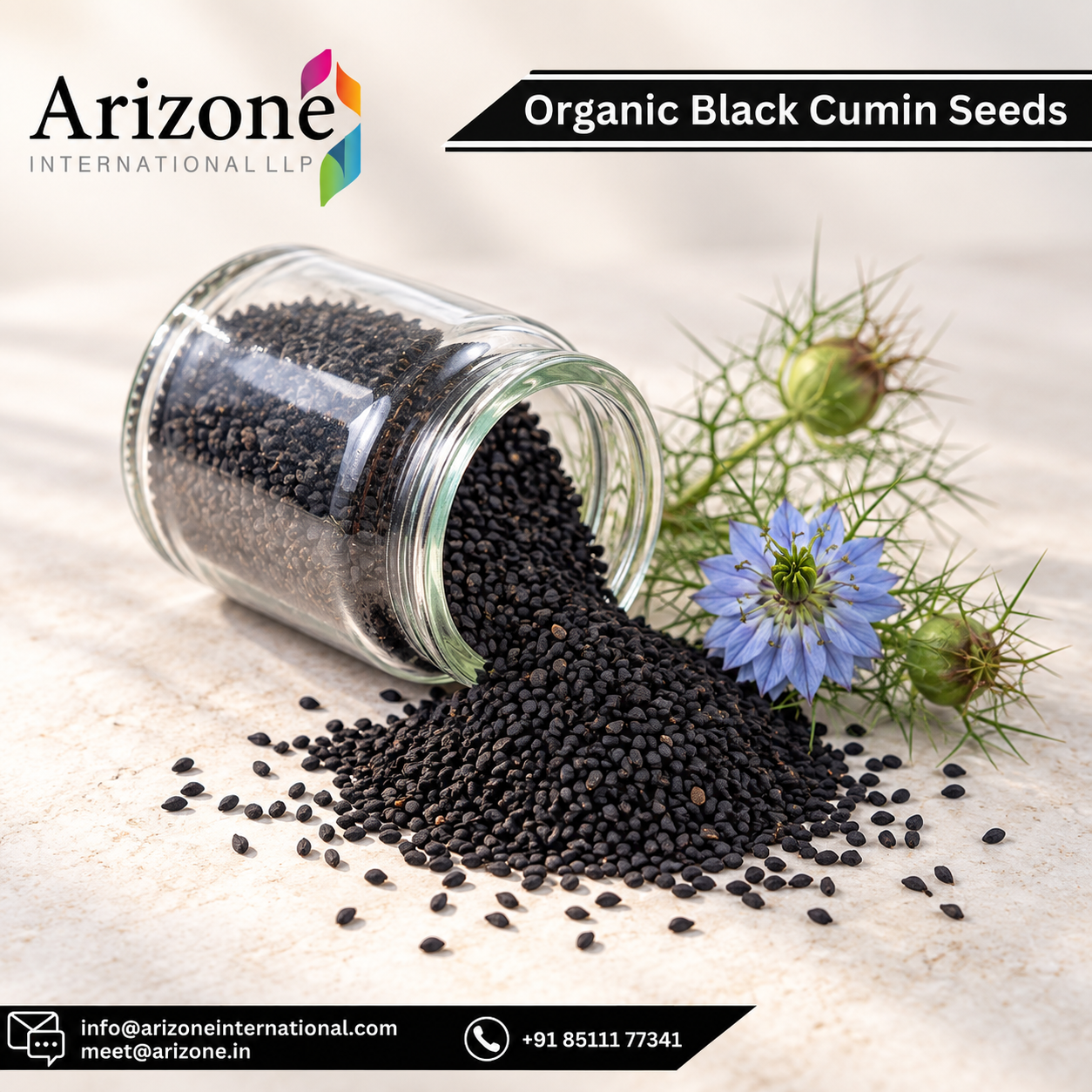 Black Seed Powder photo 8