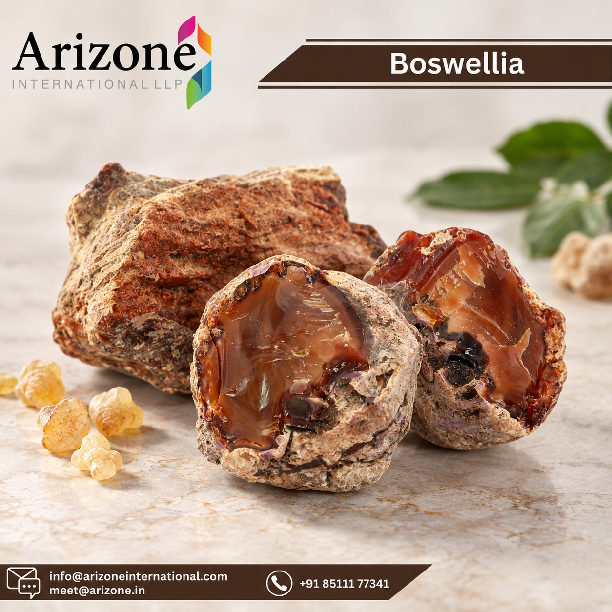 Boswellia Serrata Extract photo 3