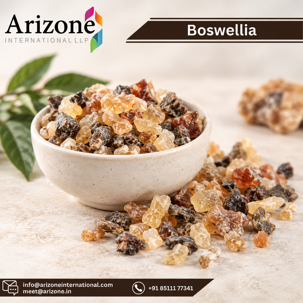 Boswellia Serrata Powder