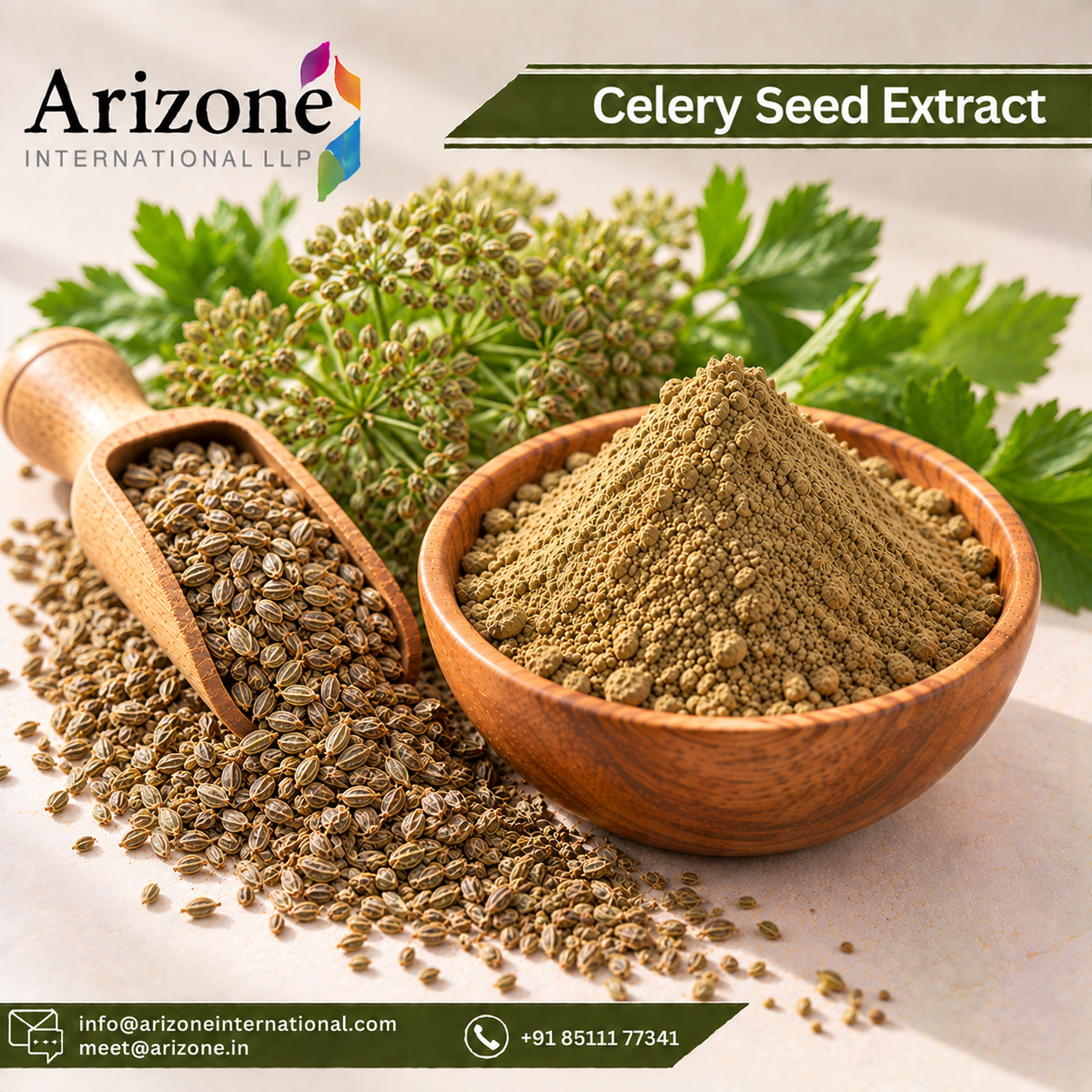 Celery Seed Extract