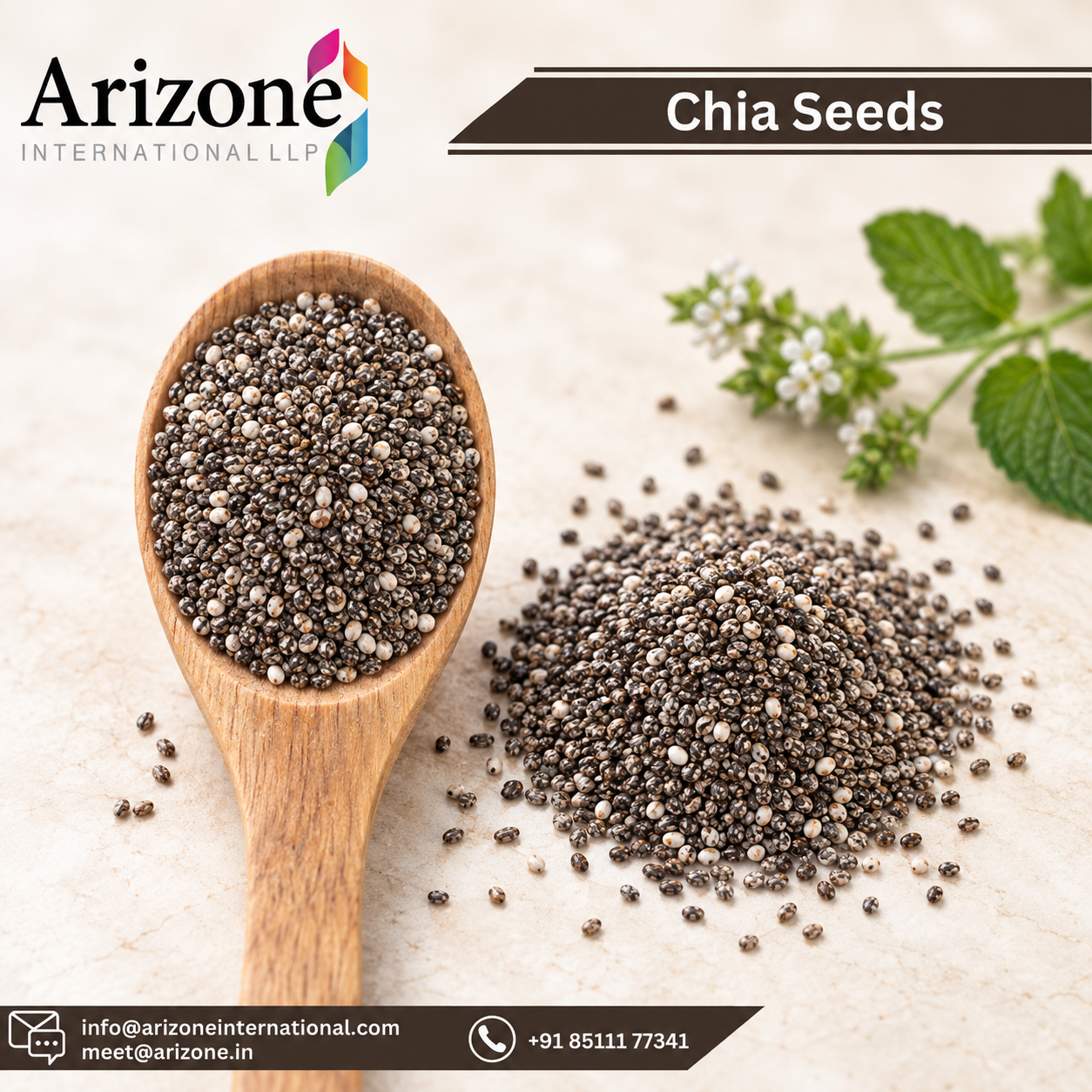 Chia Seed photo 3