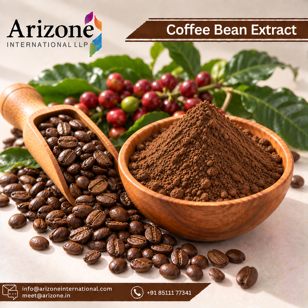 Coffee Bean Extract