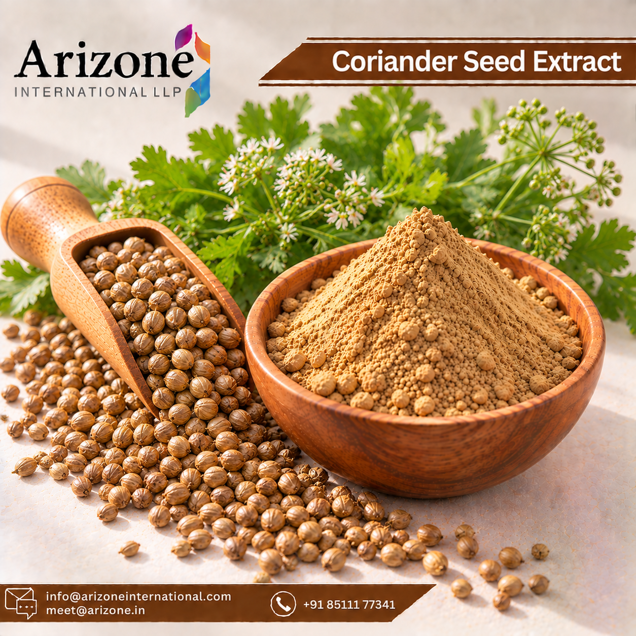 Coriander Seed Extract