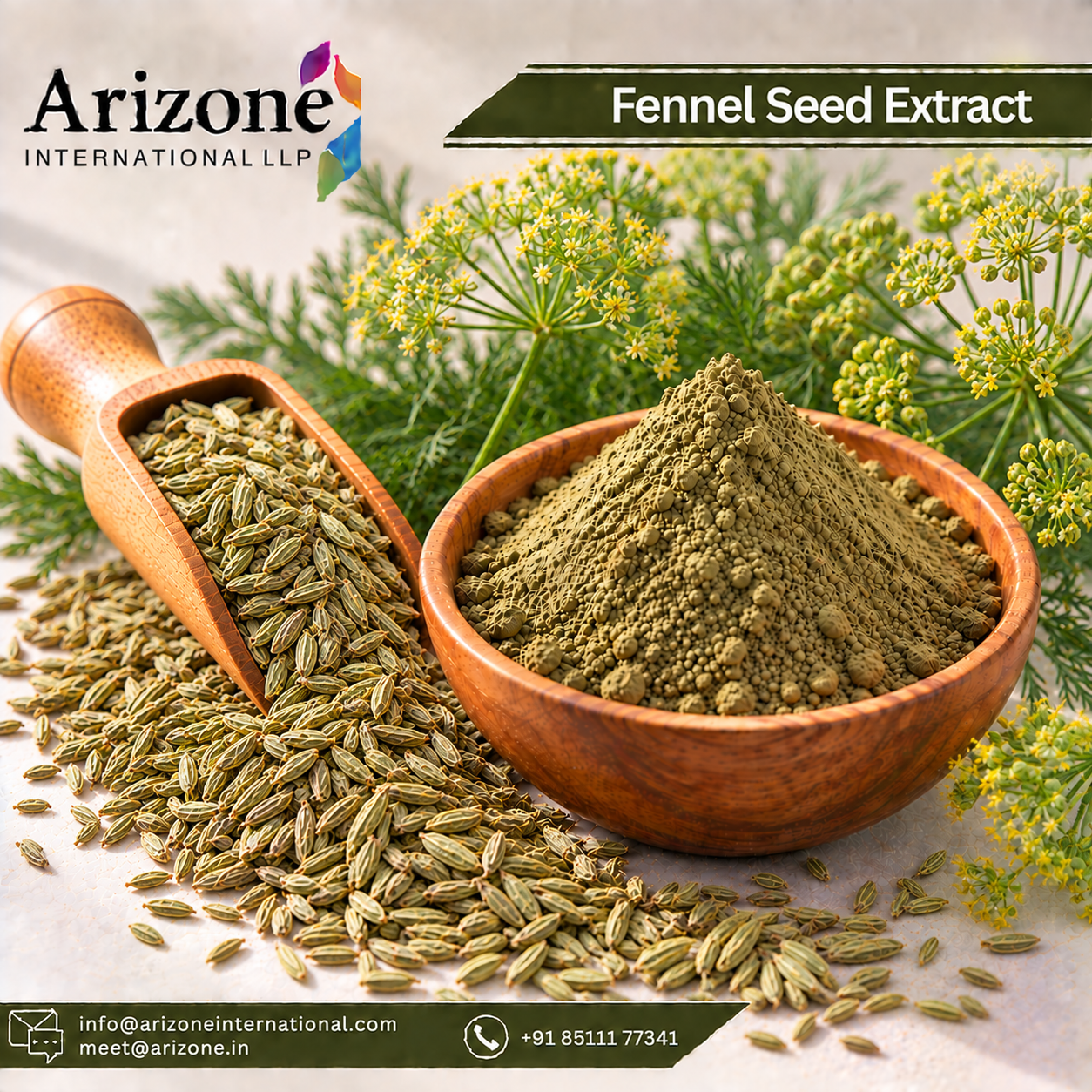 Fennel Seed Extract