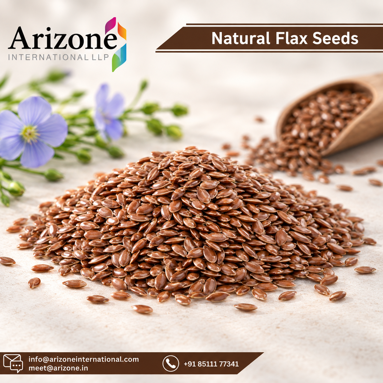 Flax Seed