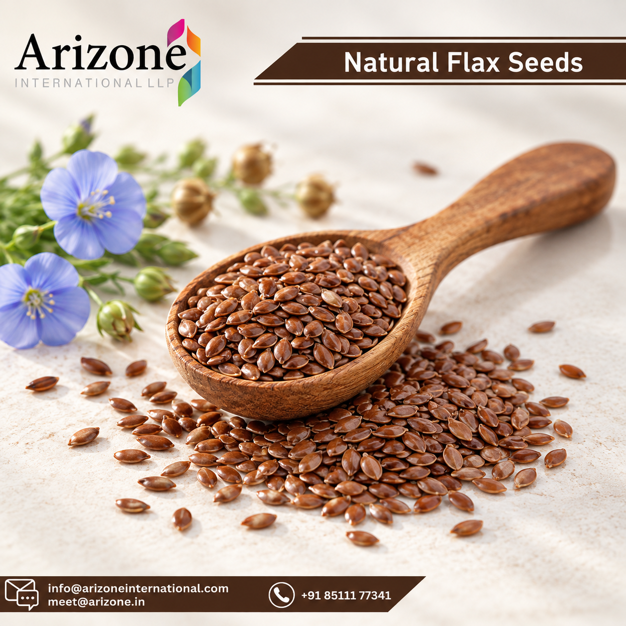 Flax Seed photo 3