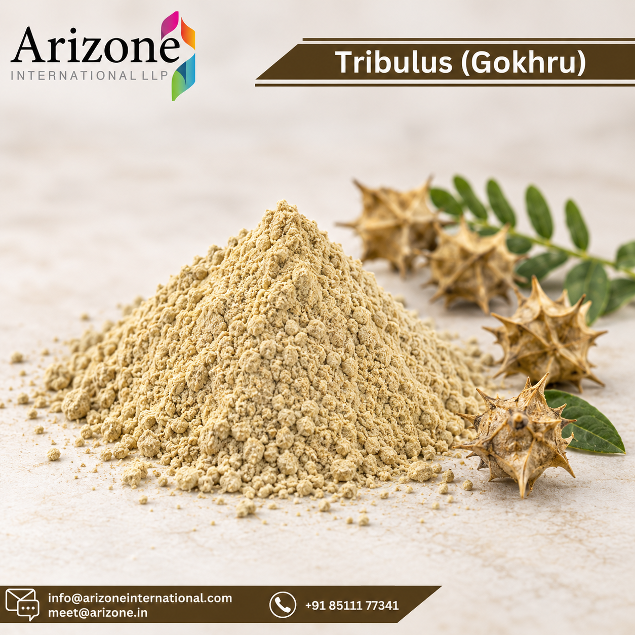 Gokhru Powder Gokshura photo 2