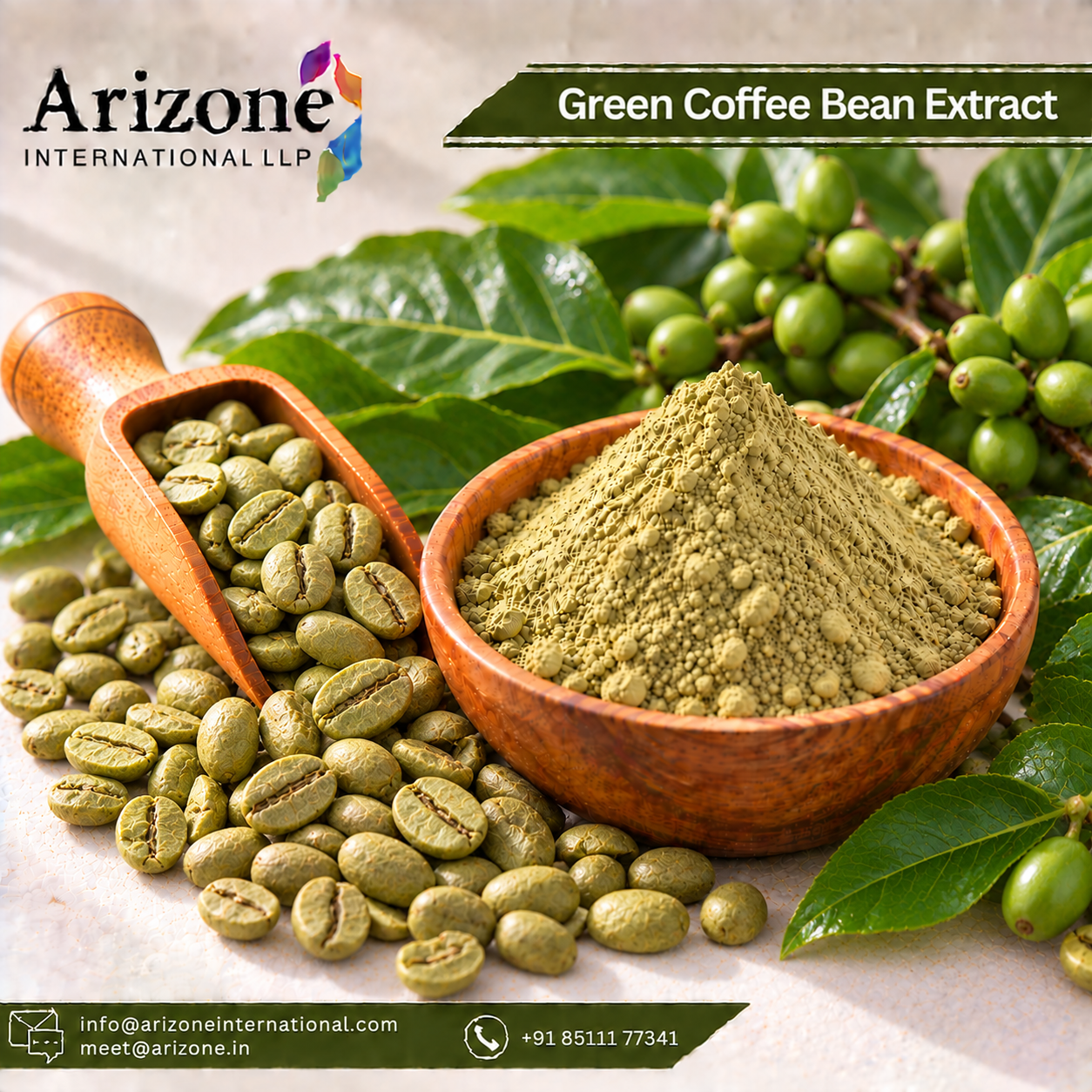 Green Coffee Bean Extract