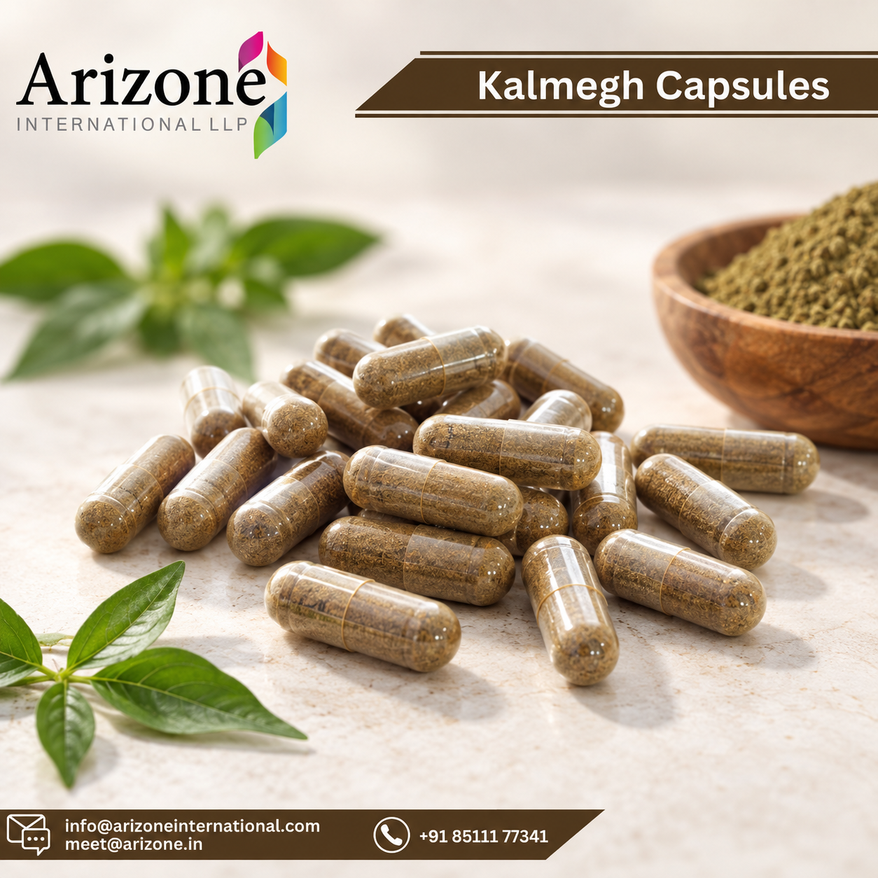 Kalmegh Capsules
