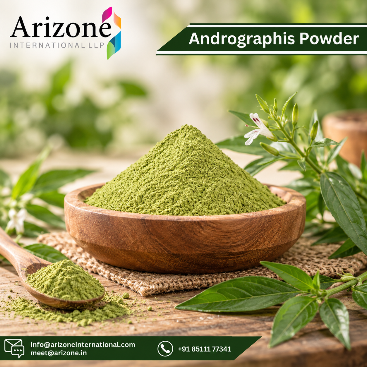 Kalmegh Powder photo 2