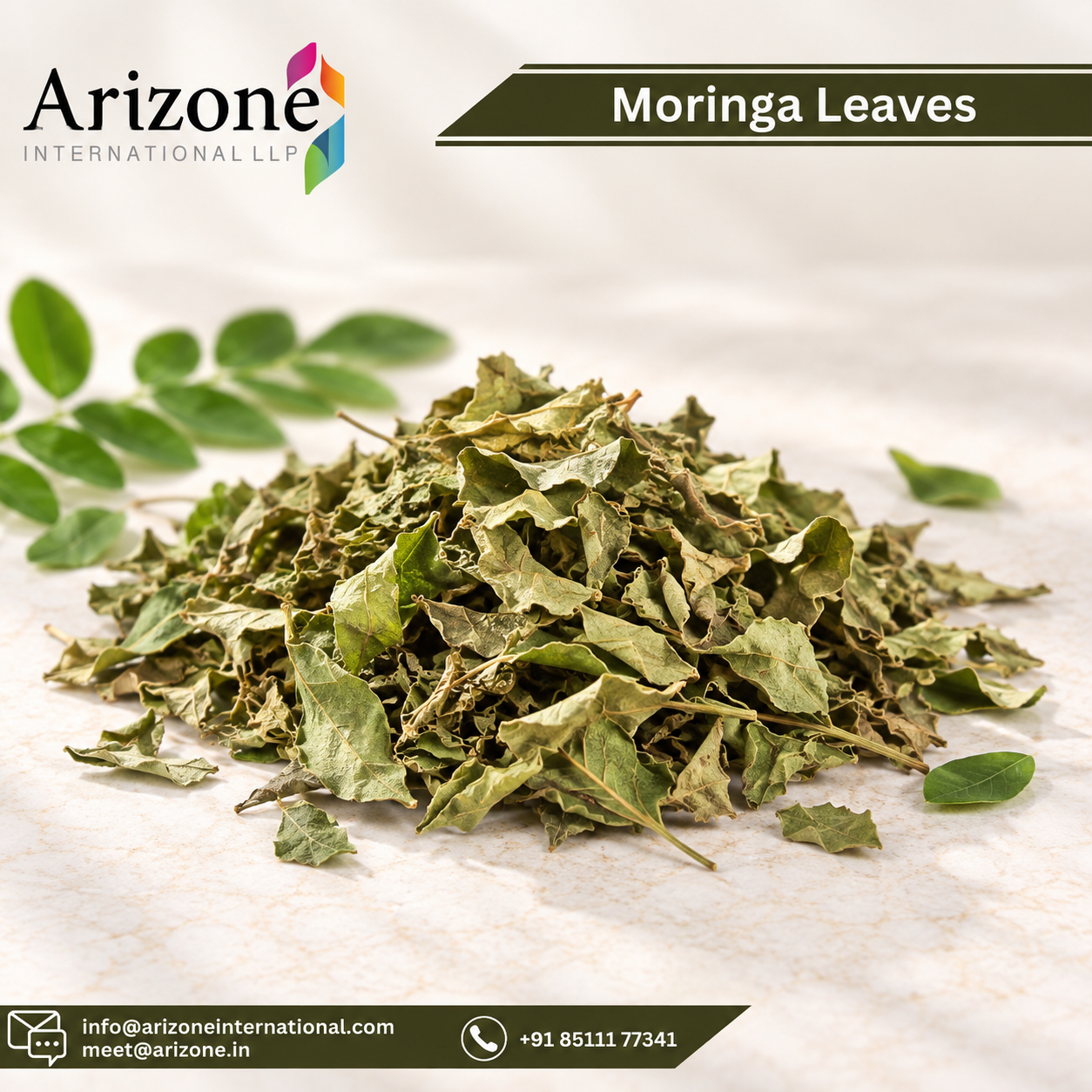 Moringa Leaf Powder photo 2