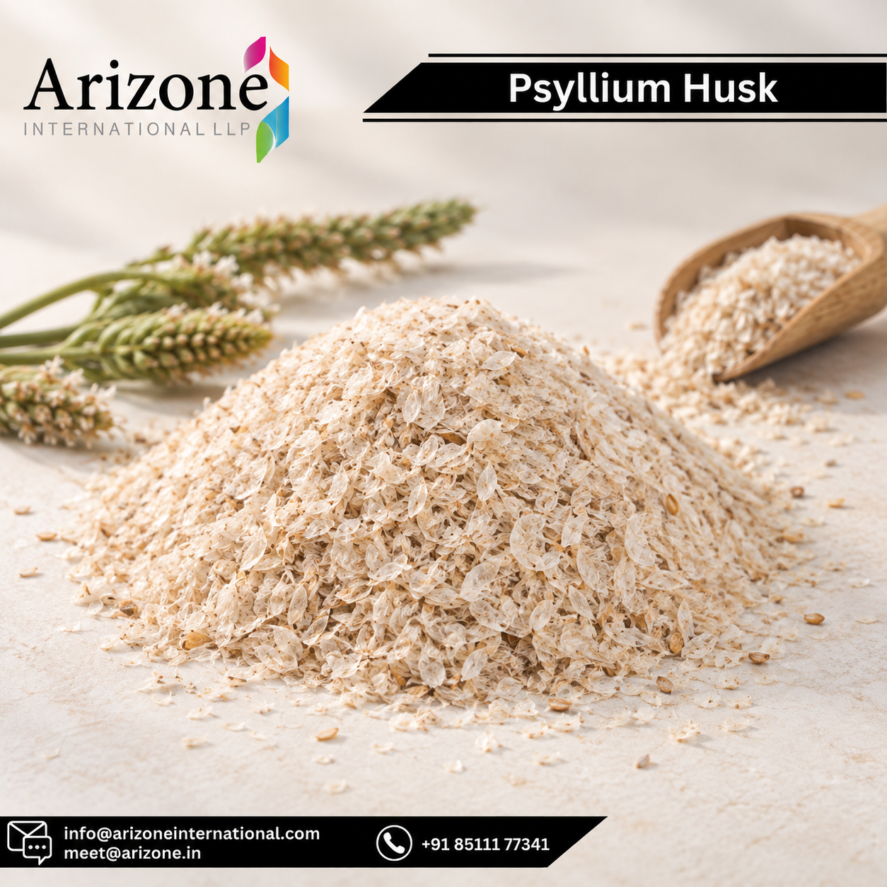 Psyllium Husk photo 3