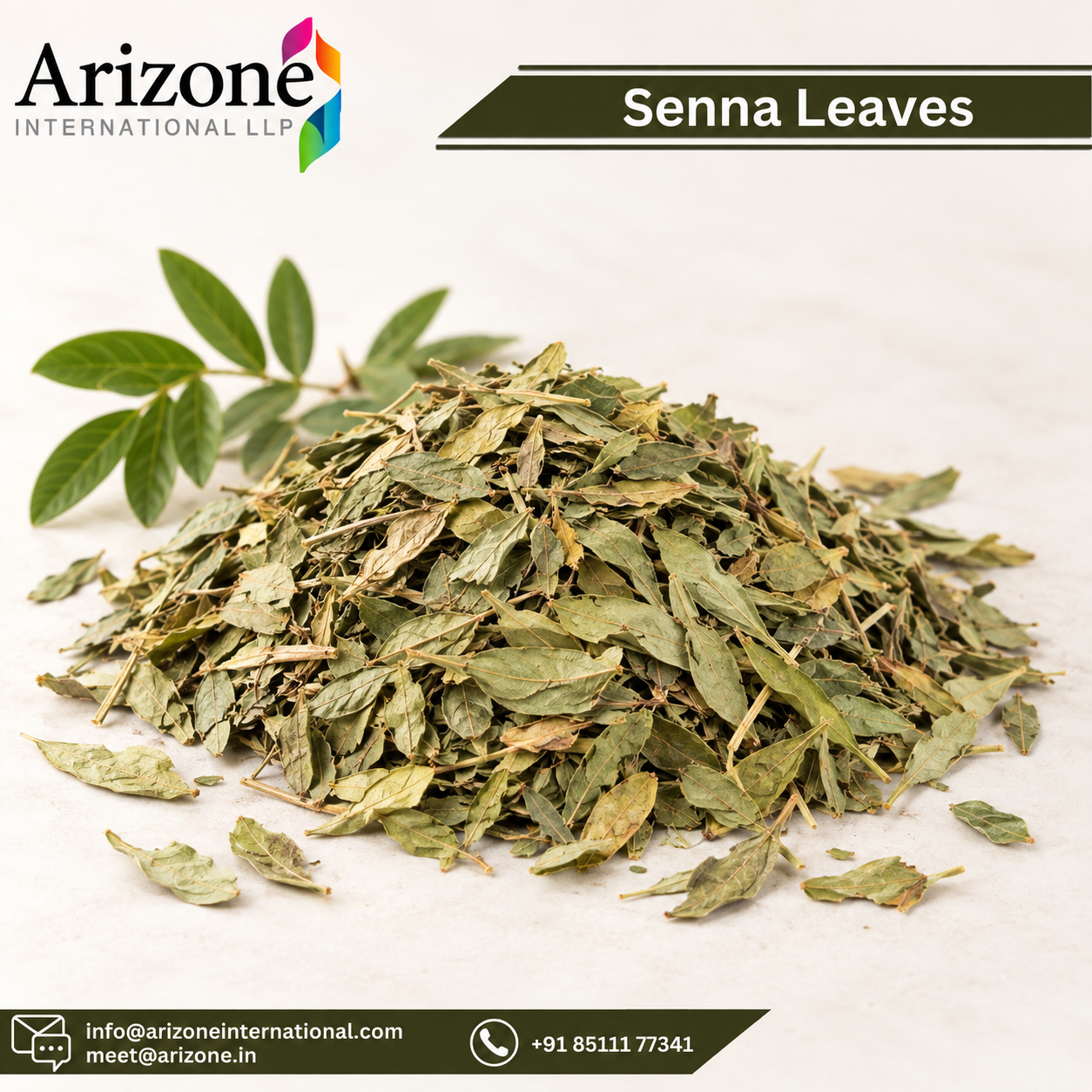 Senna Leaf Powder