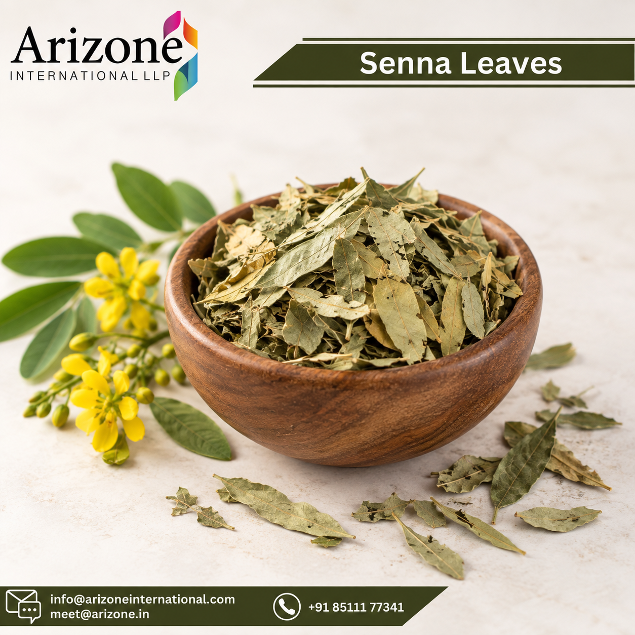 Senna Leaf Powder photo 2