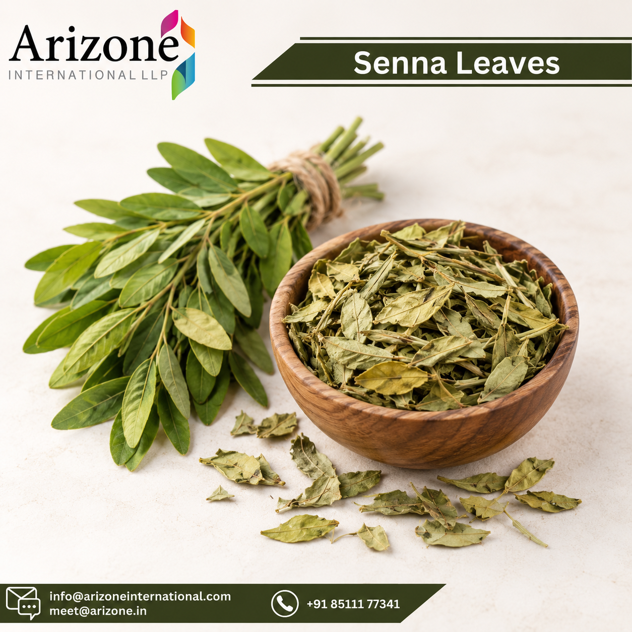 Senna Leaf Powder photo 3