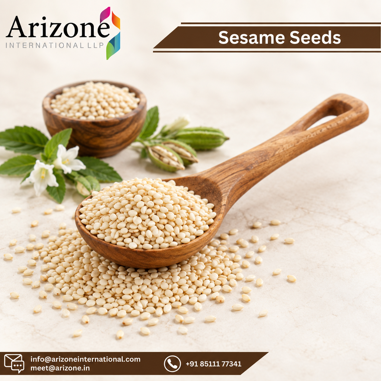 Sesame Seed photo 2